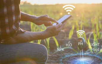 IoT-KI in der Landwirtschaft: Welthunger bekämpfen in Echtzeit (Foto: Adobe Stock - sutadimages)
