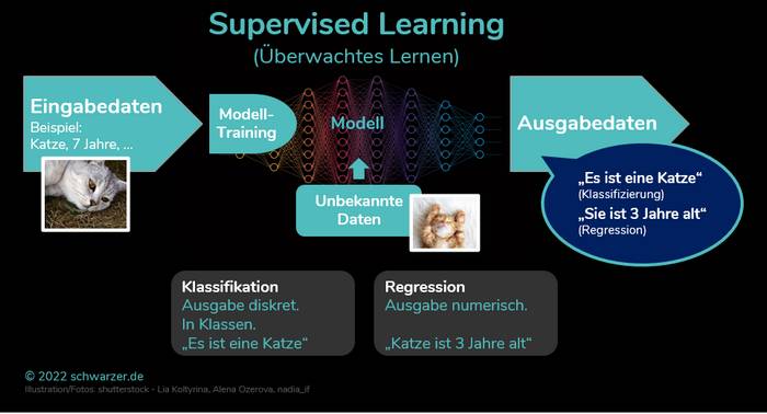 Infografik: Supervised-Learning (Überwachtes Lernen)
