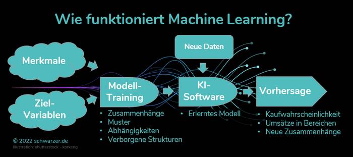 Infografik: Wie funktioniert Machine Learning?