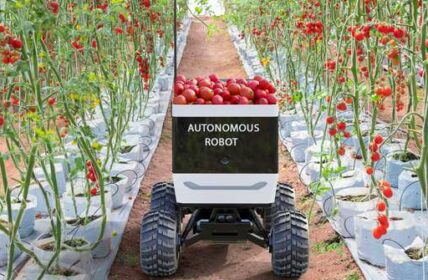 SRC: Mini-Roboter für jede Pflanze ( Foto: Adobe Stock kinwun )