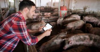 EPIG-Impfgerät: Henke Sass Wolf erleichtert mit IoT den Impfprozess für Schweine ( Foto: Adobe Stock - littlewolf1989 )