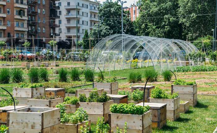 Urban Farming ist mehr als ein Hobby, wie die zahlreichen Unternehmen, die durchaus erfolgreich auf dem Markt agieren, zeigen.  ( Foto: Adobe Stock -  Alexandre Rotenberg ) 