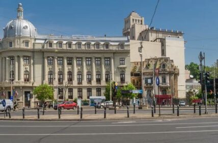 Ursachi: Was den Chief Technical Officer von ROBIOTIC wirklich auszeichnet (Foto: AdobeStock - Marco Taliani)