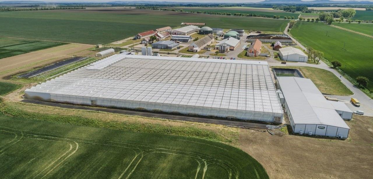 Moderne Gewächshäuser in Znojmo setzen auf EFAFLEX Tore (Foto: EFAFLEX Tor- und Sicherheitssysteme GmbH & Co. KG  tomas maly)