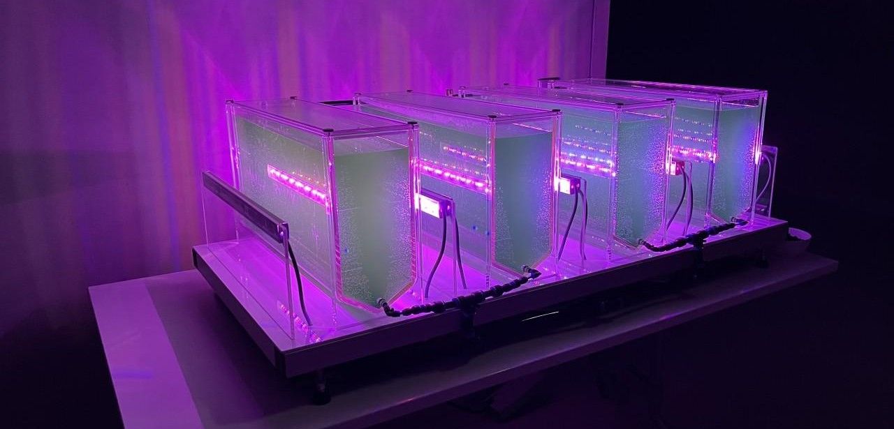 Würth Elektronik unterstützt VertiFarm Messe mit innovativen (Foto: Würth Elektronik eiSos GmbH & Co. KG)
