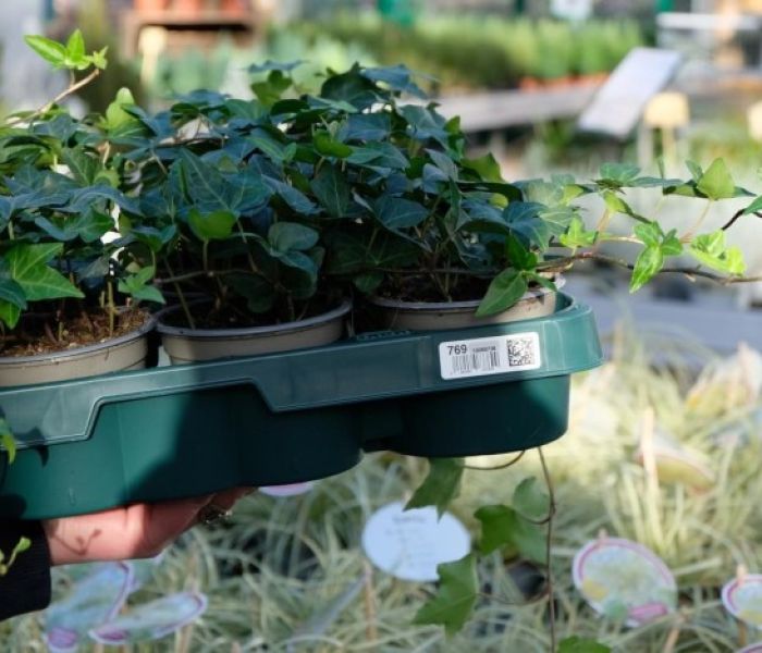 RFID- und Barcode-Tracking f&uuml;r RTIs: TUND Smart-Adapter (Foto: TUND GmbH)